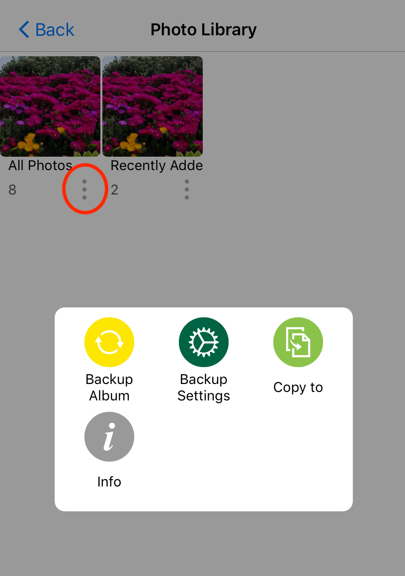The album context menu in FE File Explorer