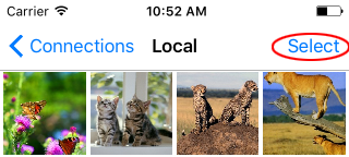 Photo Manager Pro in selection mode