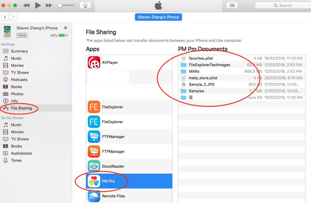 iTunes 中的文件共享文稿区域