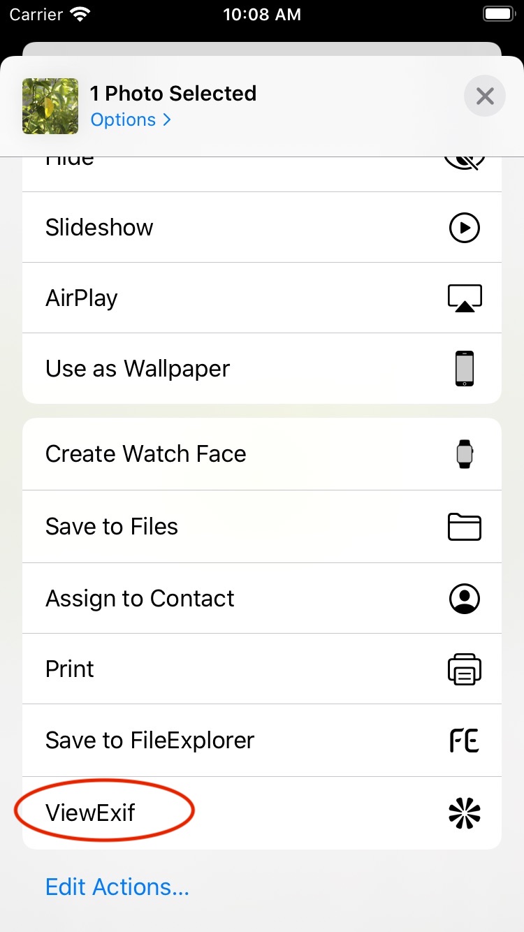 The ViewExif action in the Photos share sheet