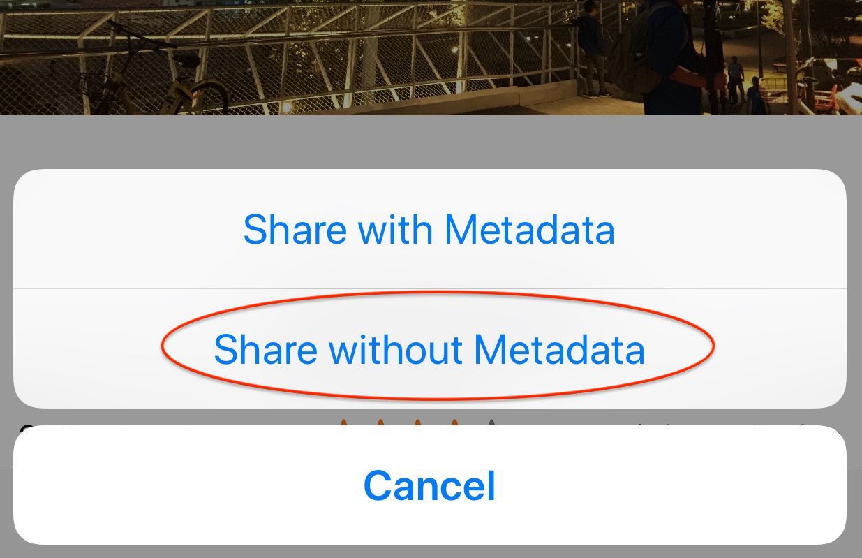 ViewExif options for saving or sharing a photo without metadata